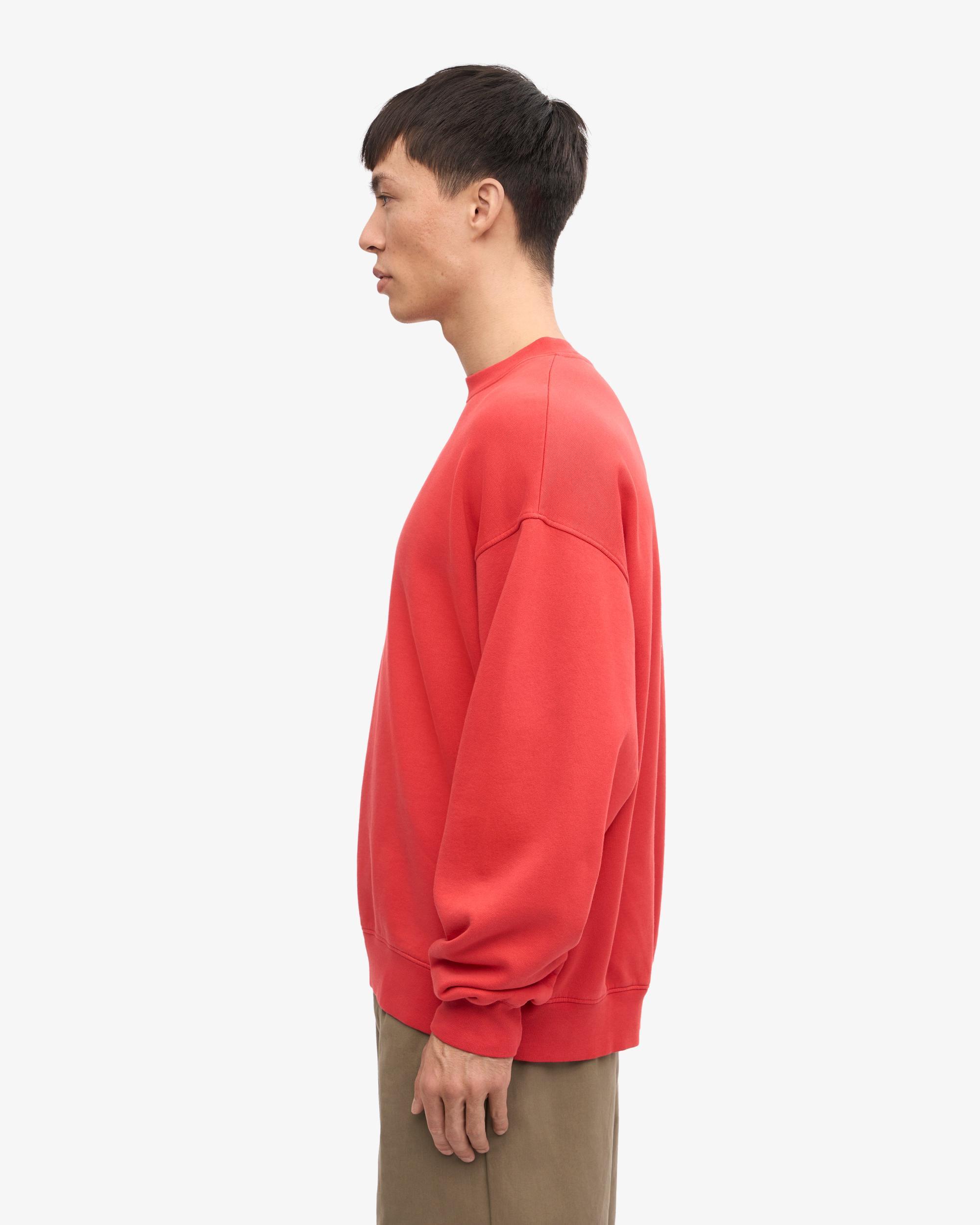 Organic Oversized Crew - Cedar Brown Product Image