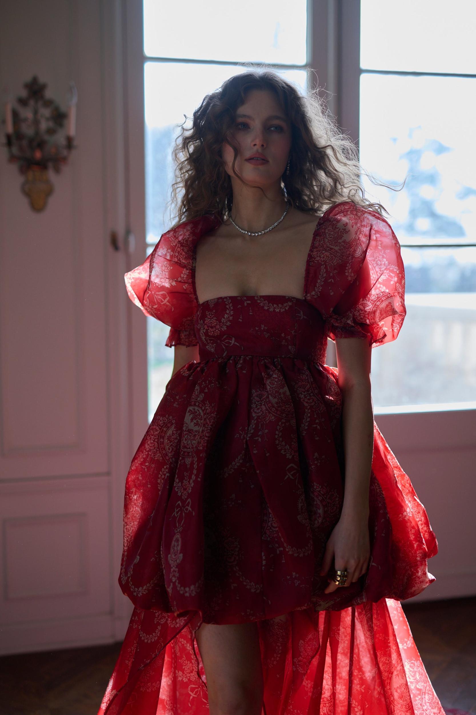 The Ornament Fairytale Gown Product Image