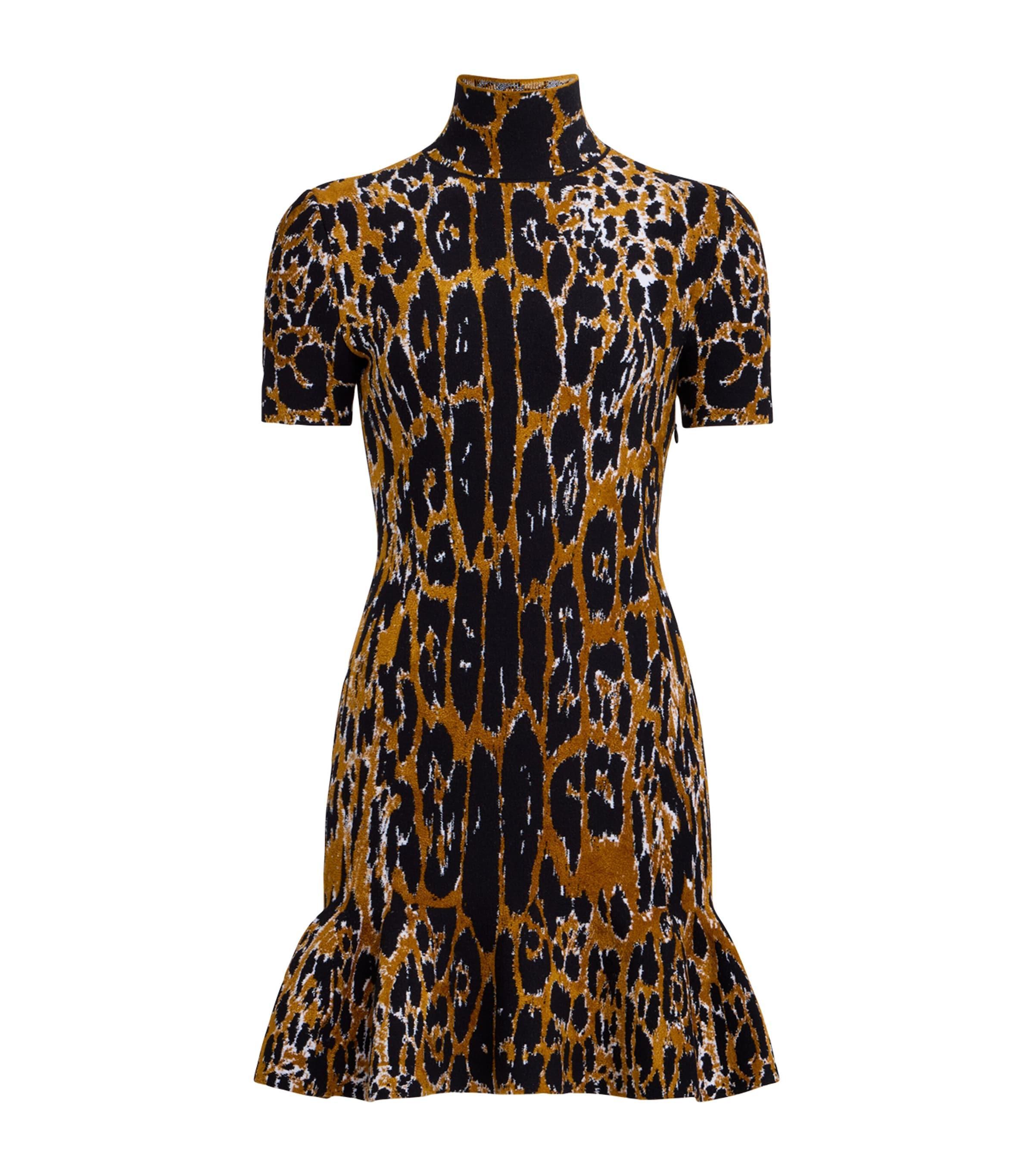 ALAÏA Leopard-print Minidress In Multicolor Product Image