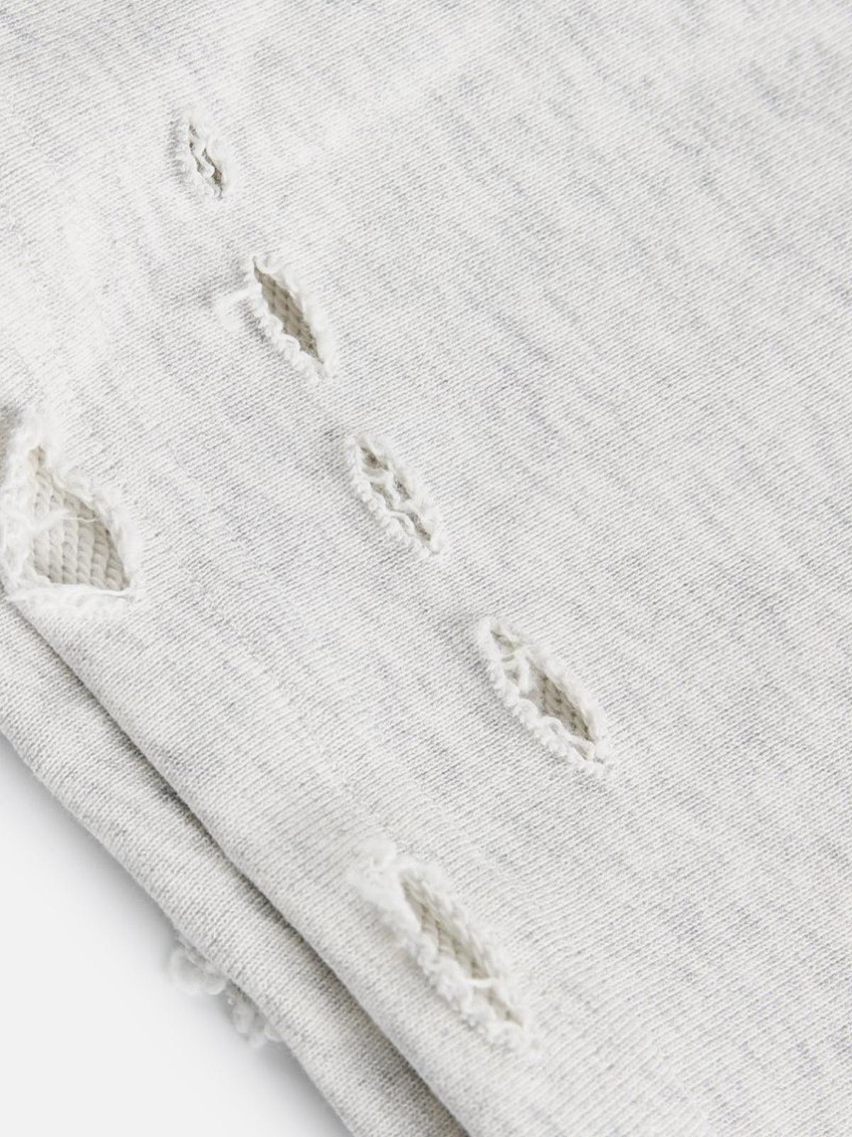 Aelfric Eden Distressed Shorts Product Image