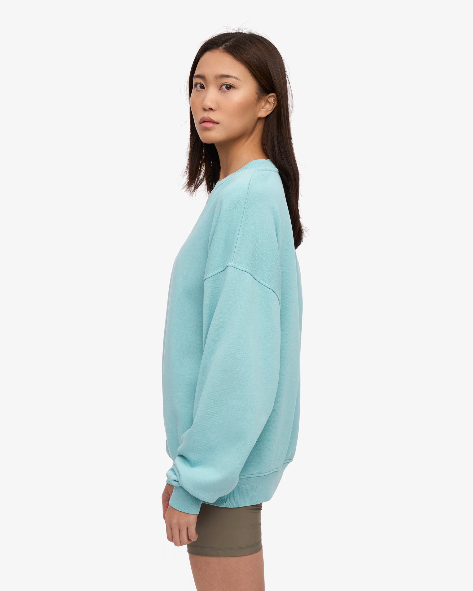 Organic Oversized Crew - Oyster Grey Product Image