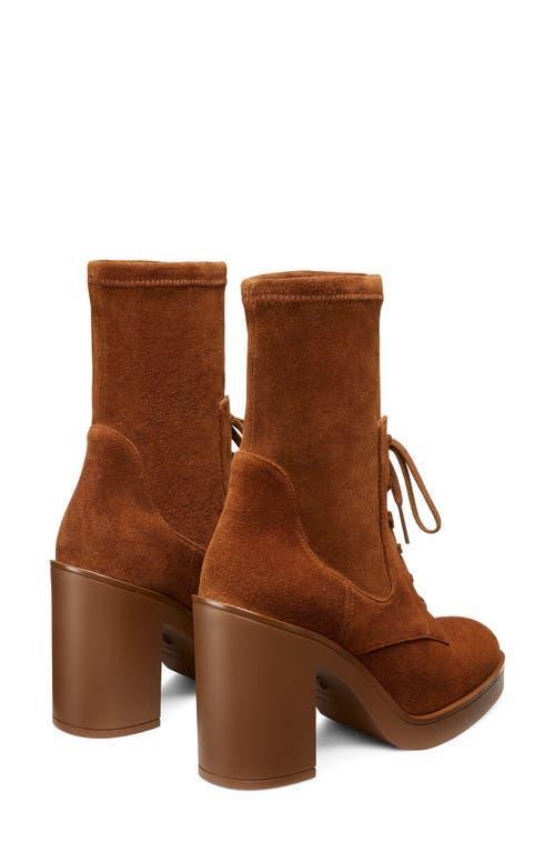 STUART WEITZMAN Everitt Stretch Suede Lace-up Booties In Coffee Tonal Product Image