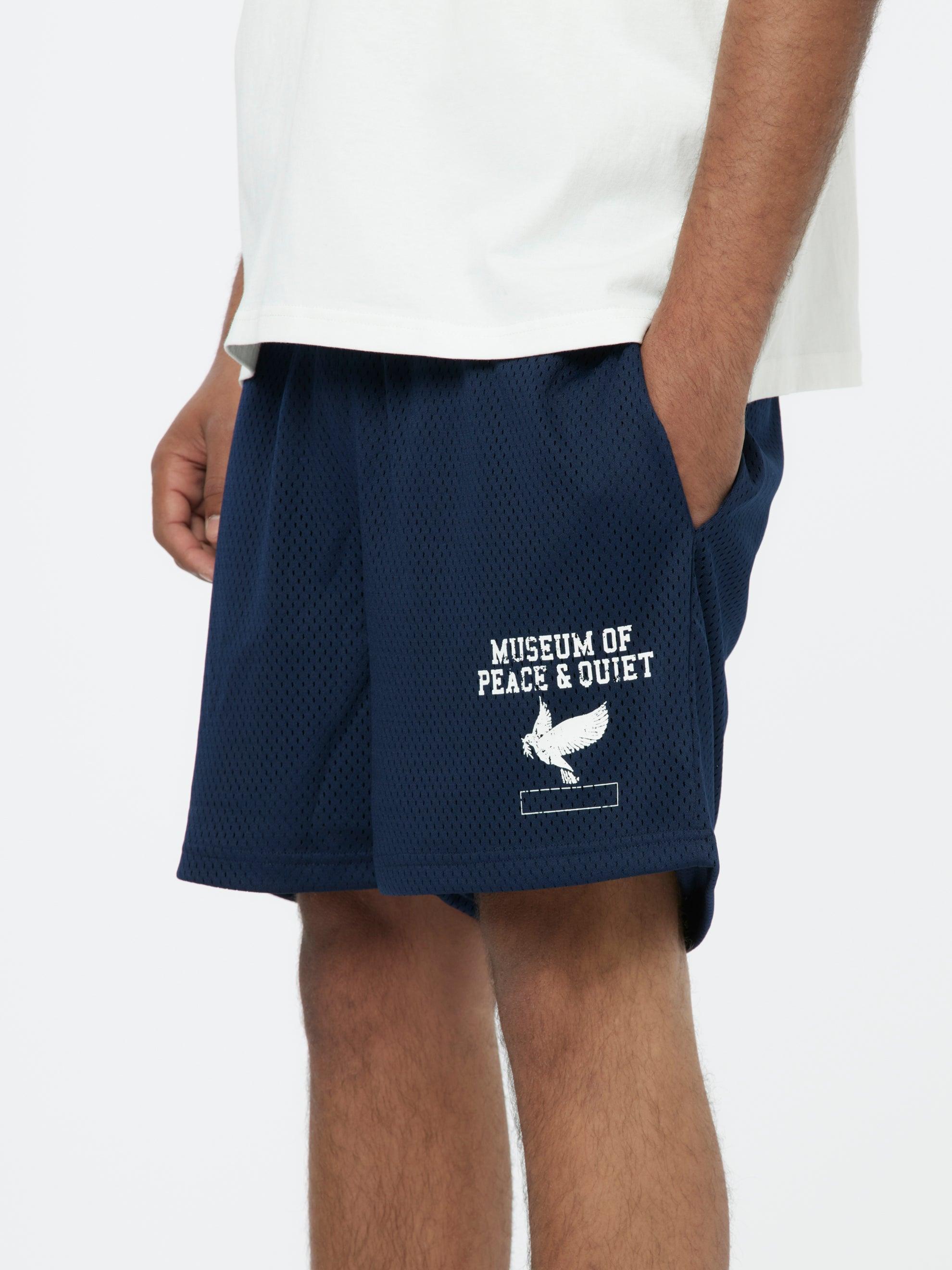 P.E. Mesh Shorts (Navy) Product Image