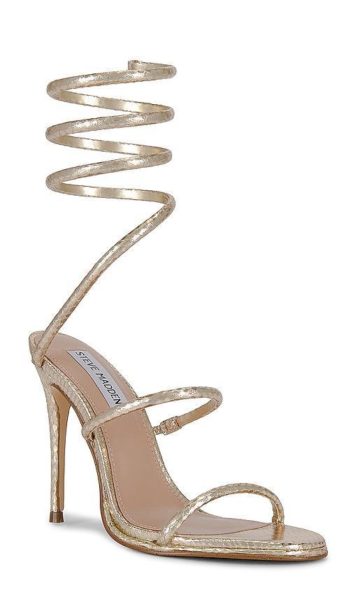 Exotica Heel Steve Madden Product Image