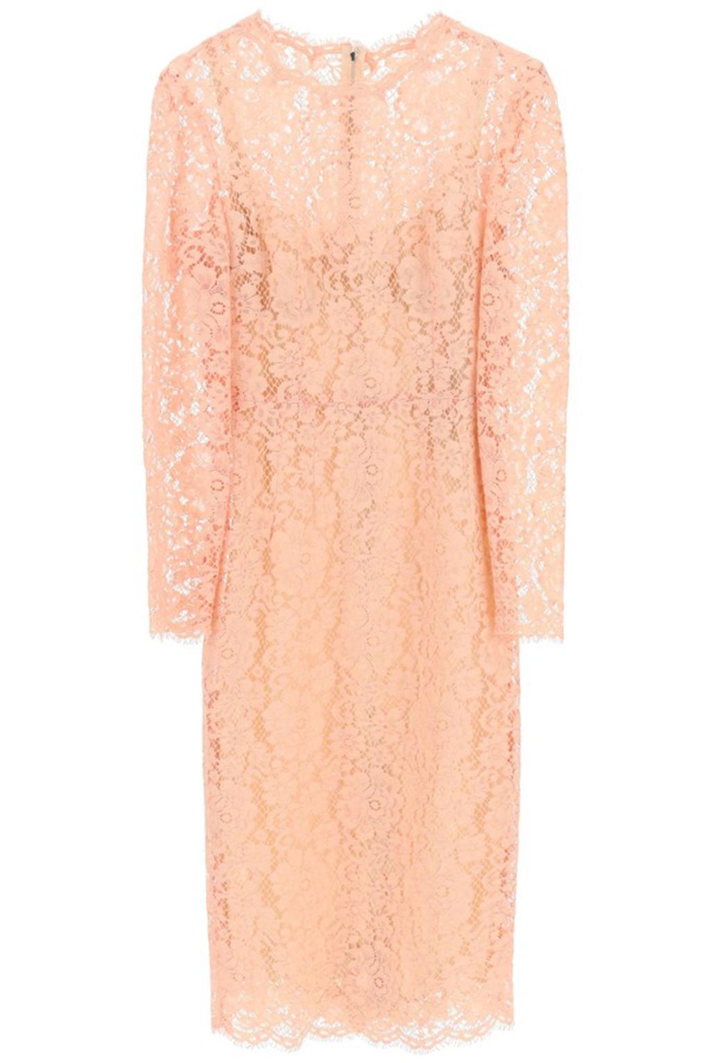 Lace Midi Dress In Pink Product Image