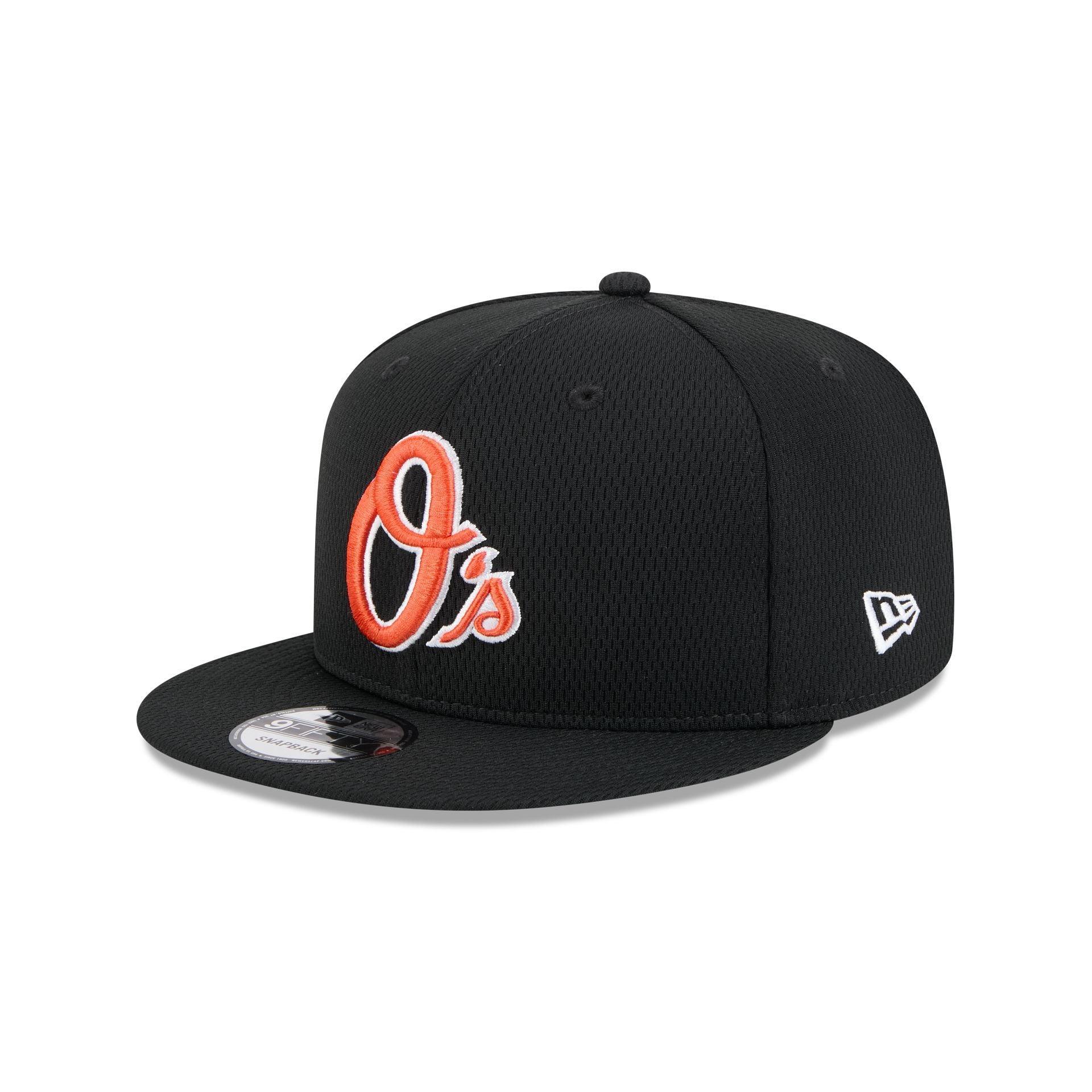 Delmarva Shorebirds Theme Night 59FIFTY Fitted Hat Male Product Image