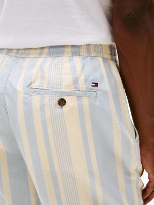 Regular Fit 7" Stripe Short Product Image