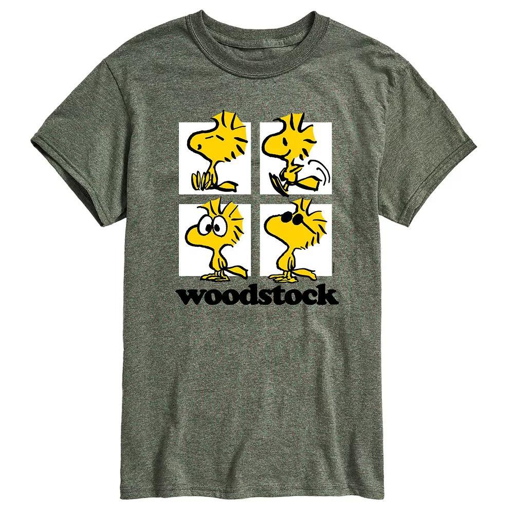 Big & Tall Peanuts Woodstock Grid Graphic Tee, Men's,  Product Image