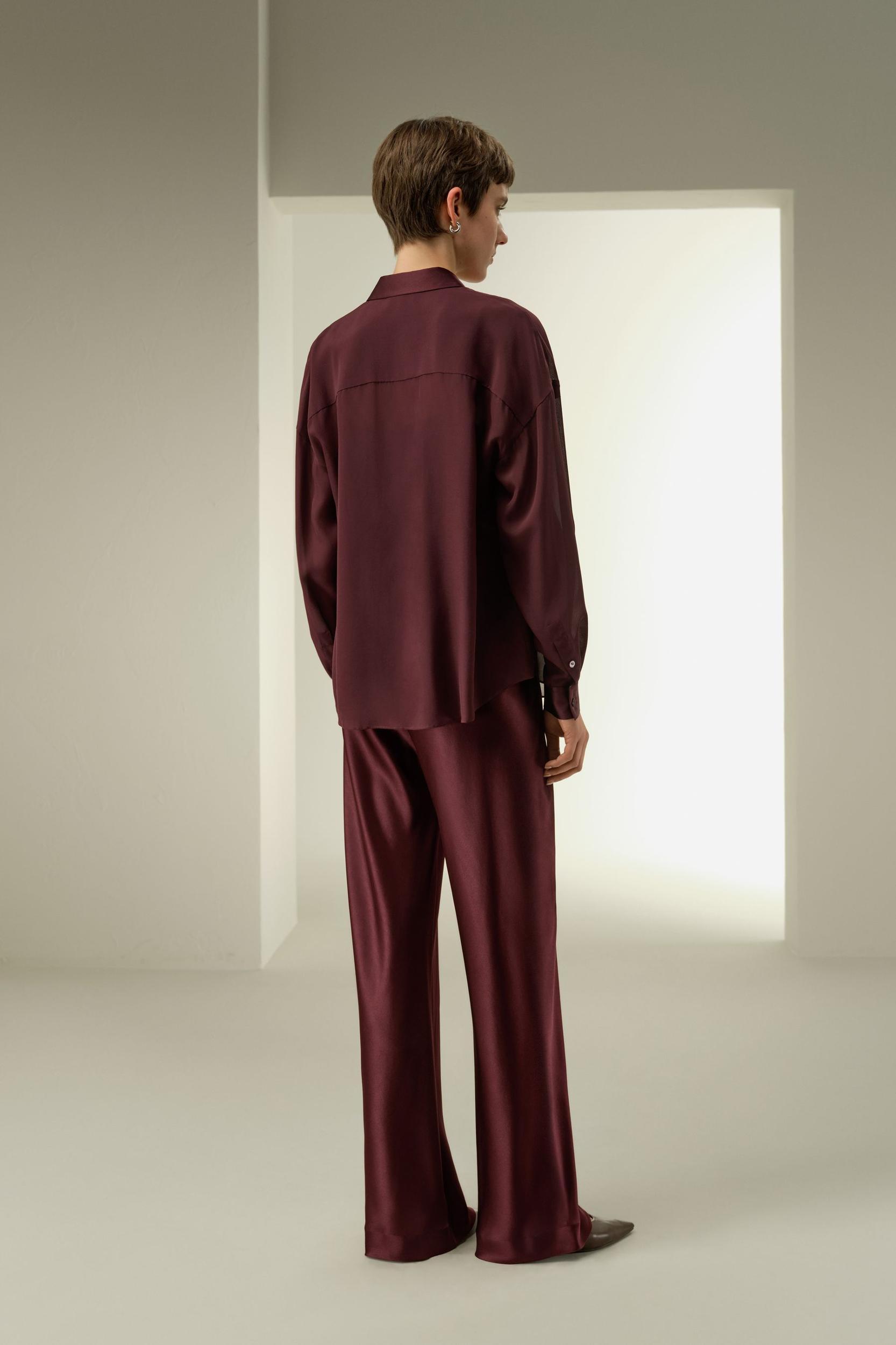 Semi-Sheer Silk Chiffon Blouse Product Image