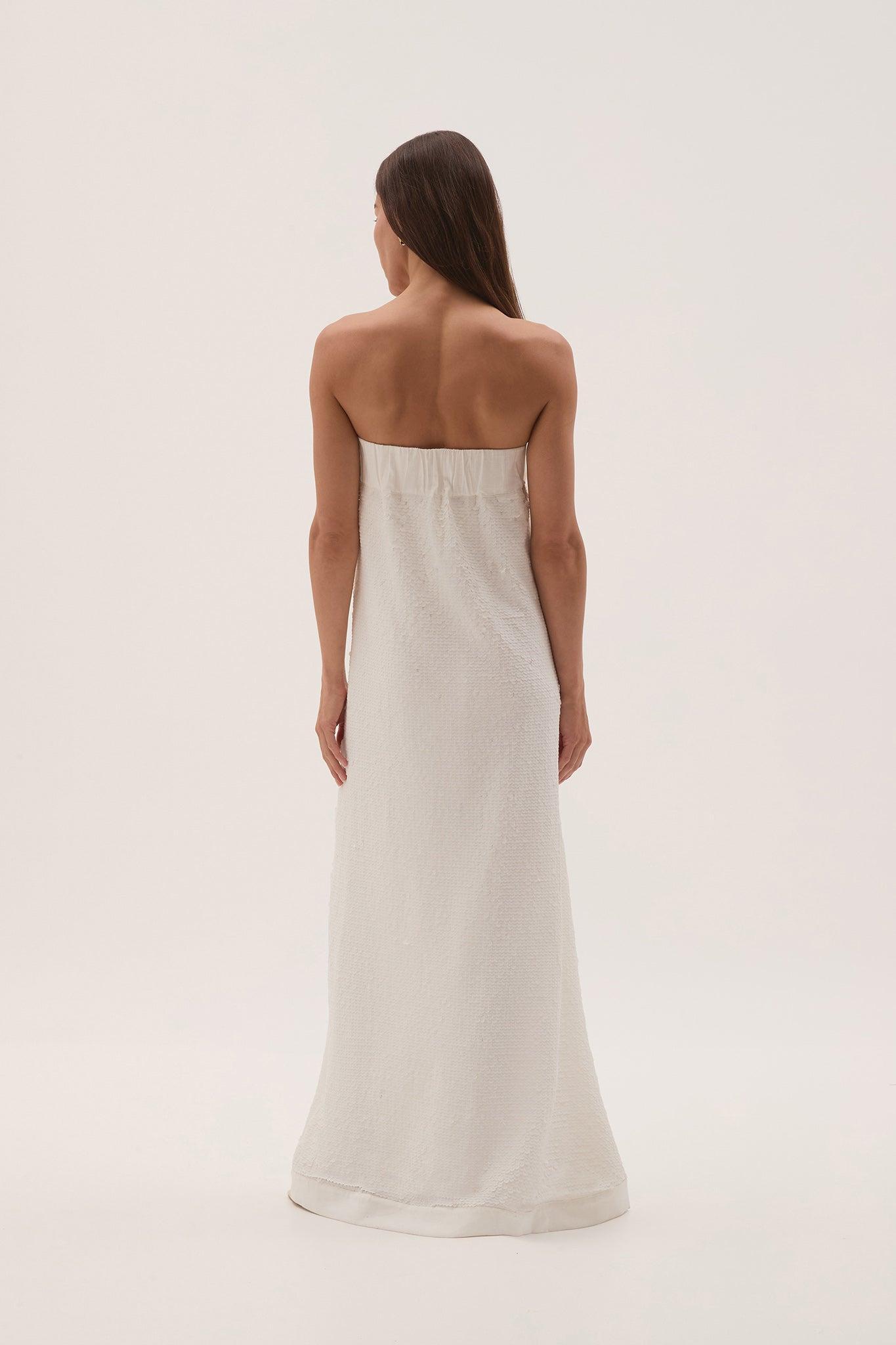 Nebula Maxi Dress Product Image