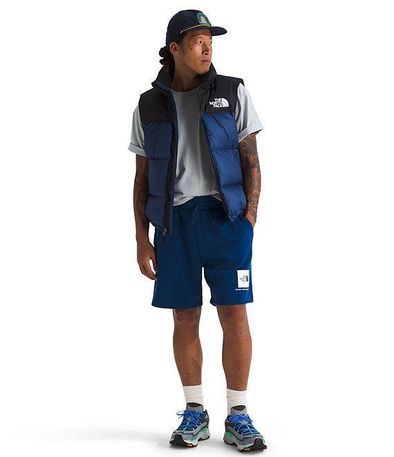The North Face Box NSE Regular Shorts Product Image