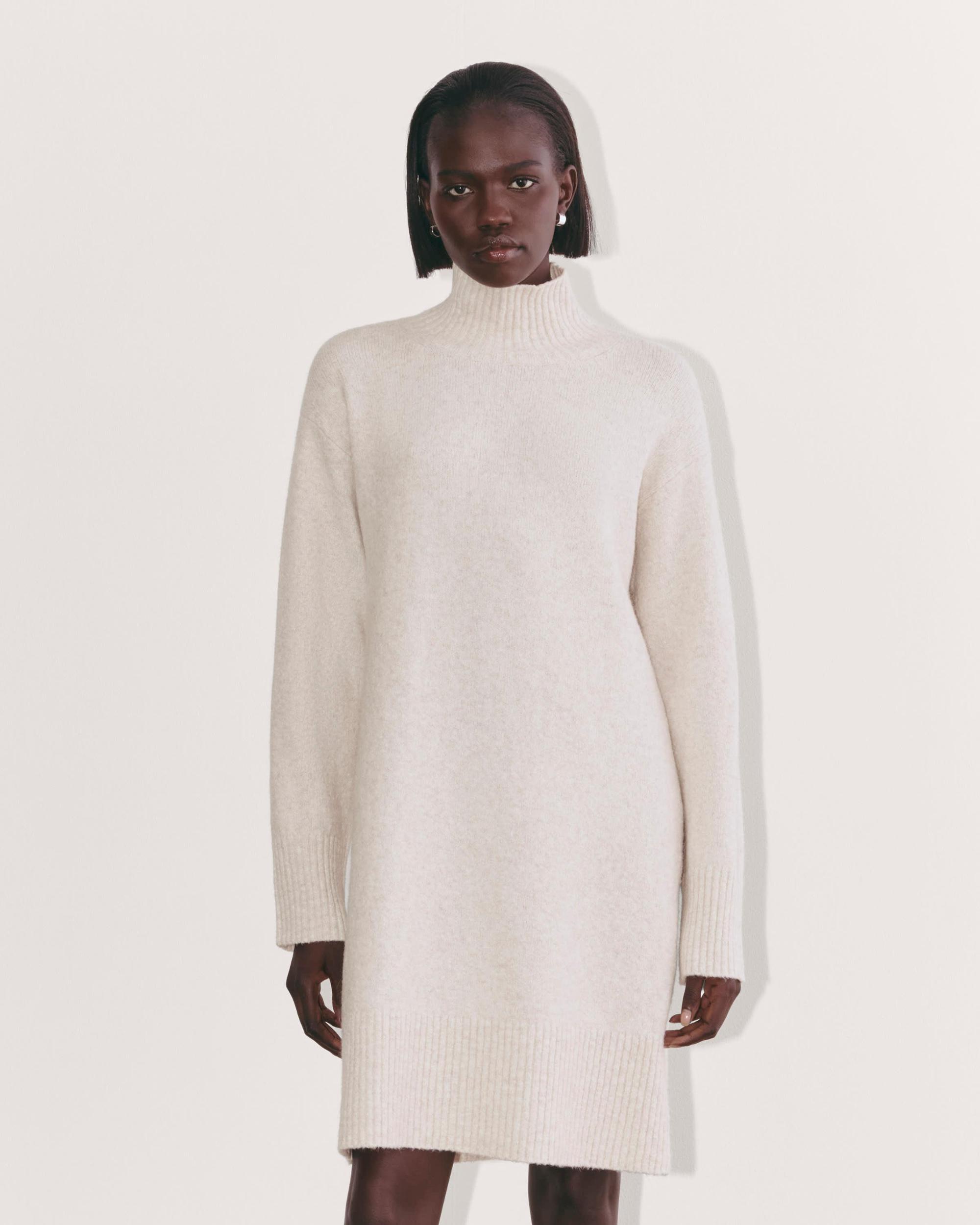Womens Sweater Dress in Plush Cotton by Everlane Product Image