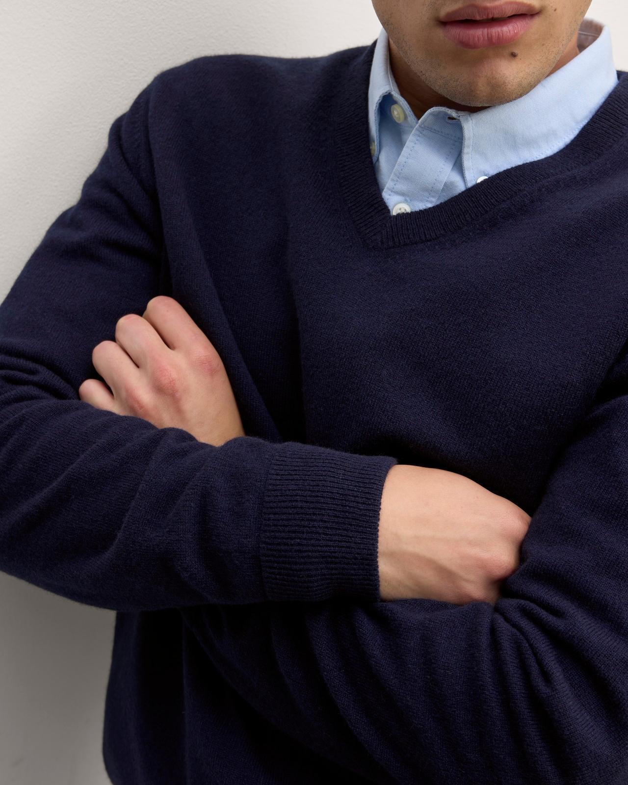 Mens Cashmere V-Neck Sweater by Everlane Product Image