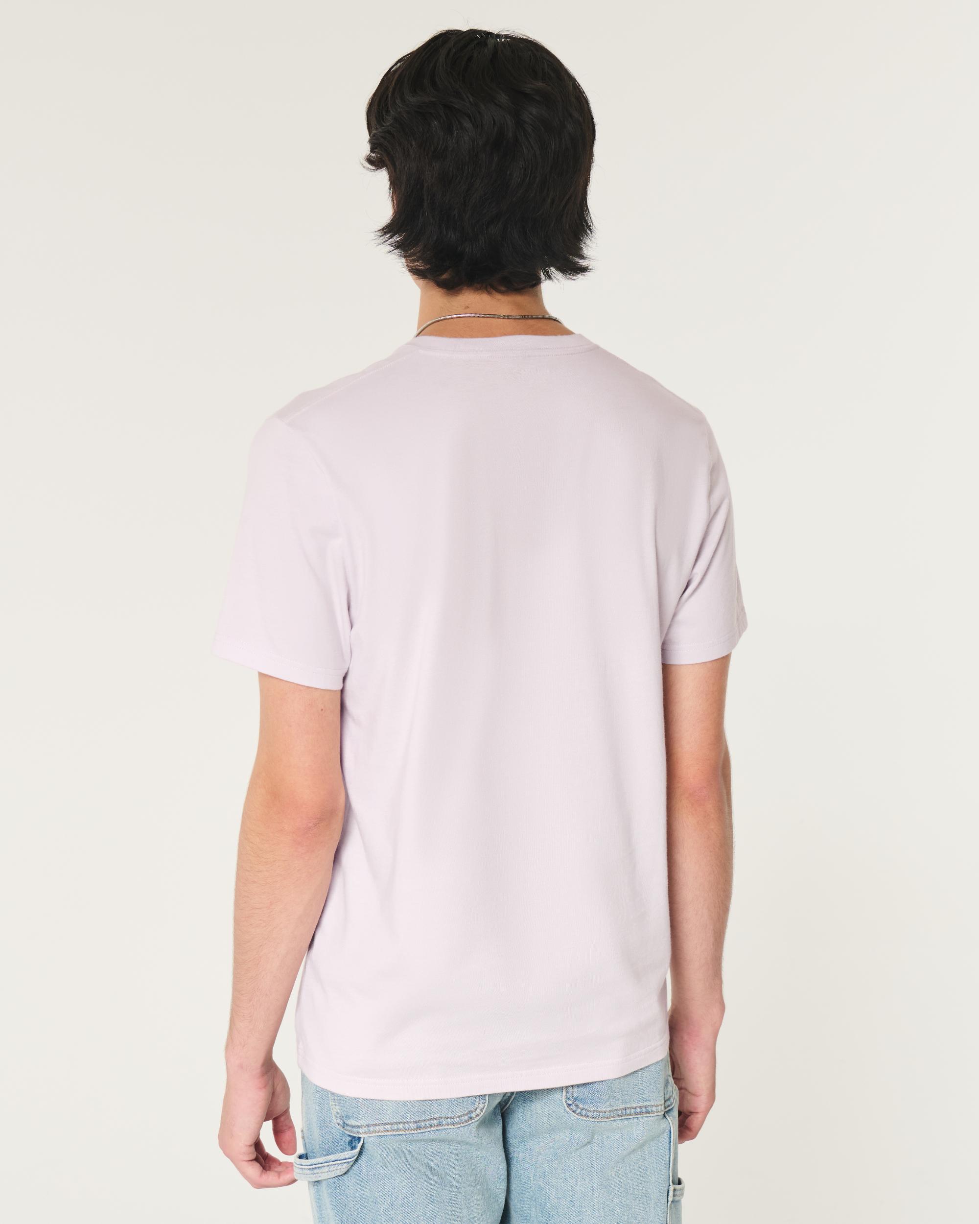 AE Lived-In T-Shirt Product Image