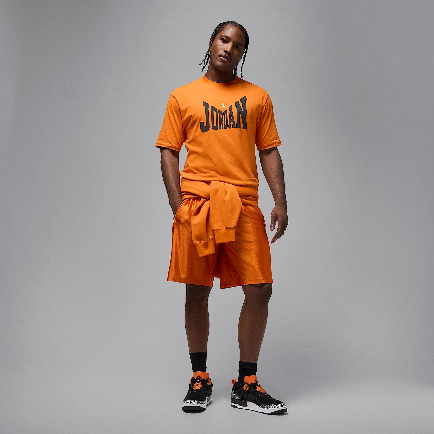 Mens Jordan Brooklyn T-Shirt | HV3894-010 Product Image