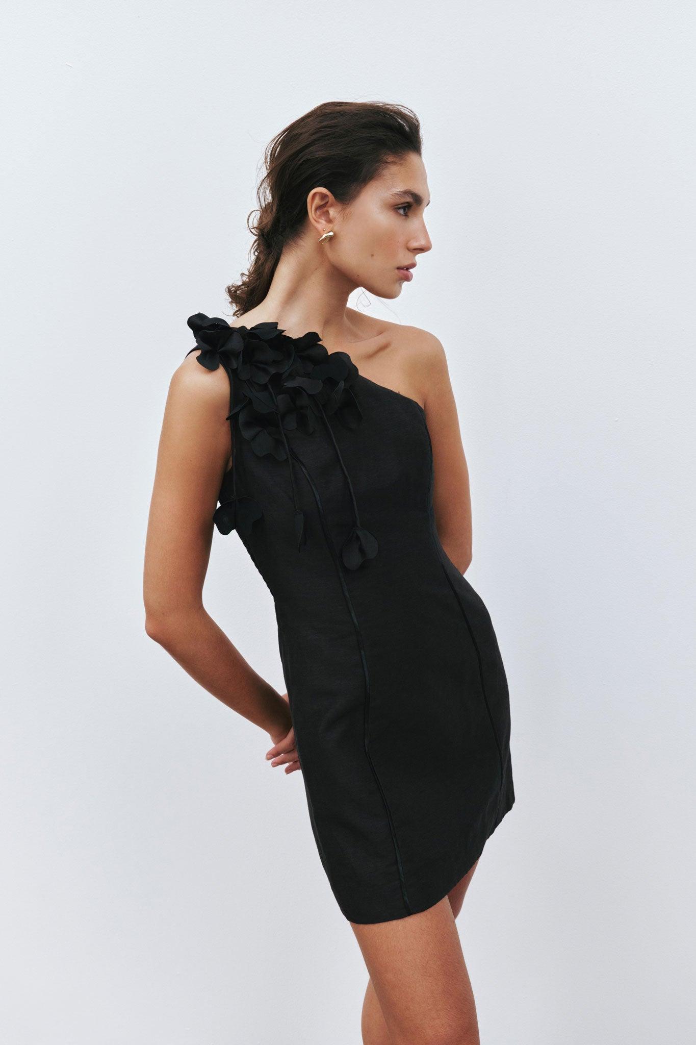 Camille Mini Dress Product Image