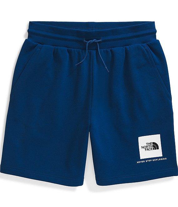The North Face Box NSE Regular Shorts Product Image