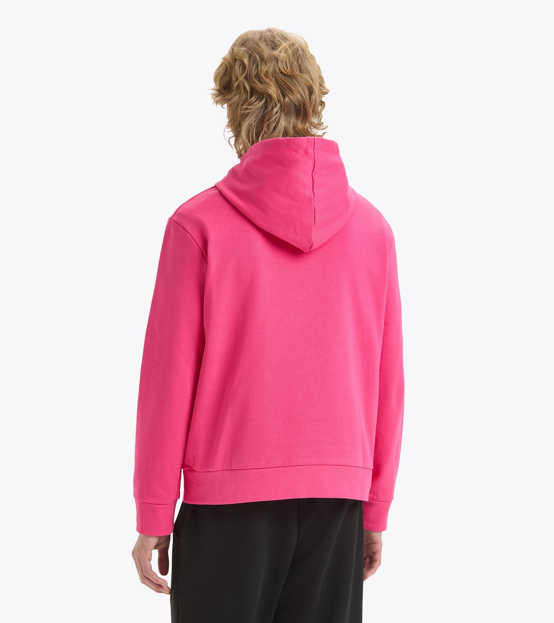 HOODIE LOGO Product Image