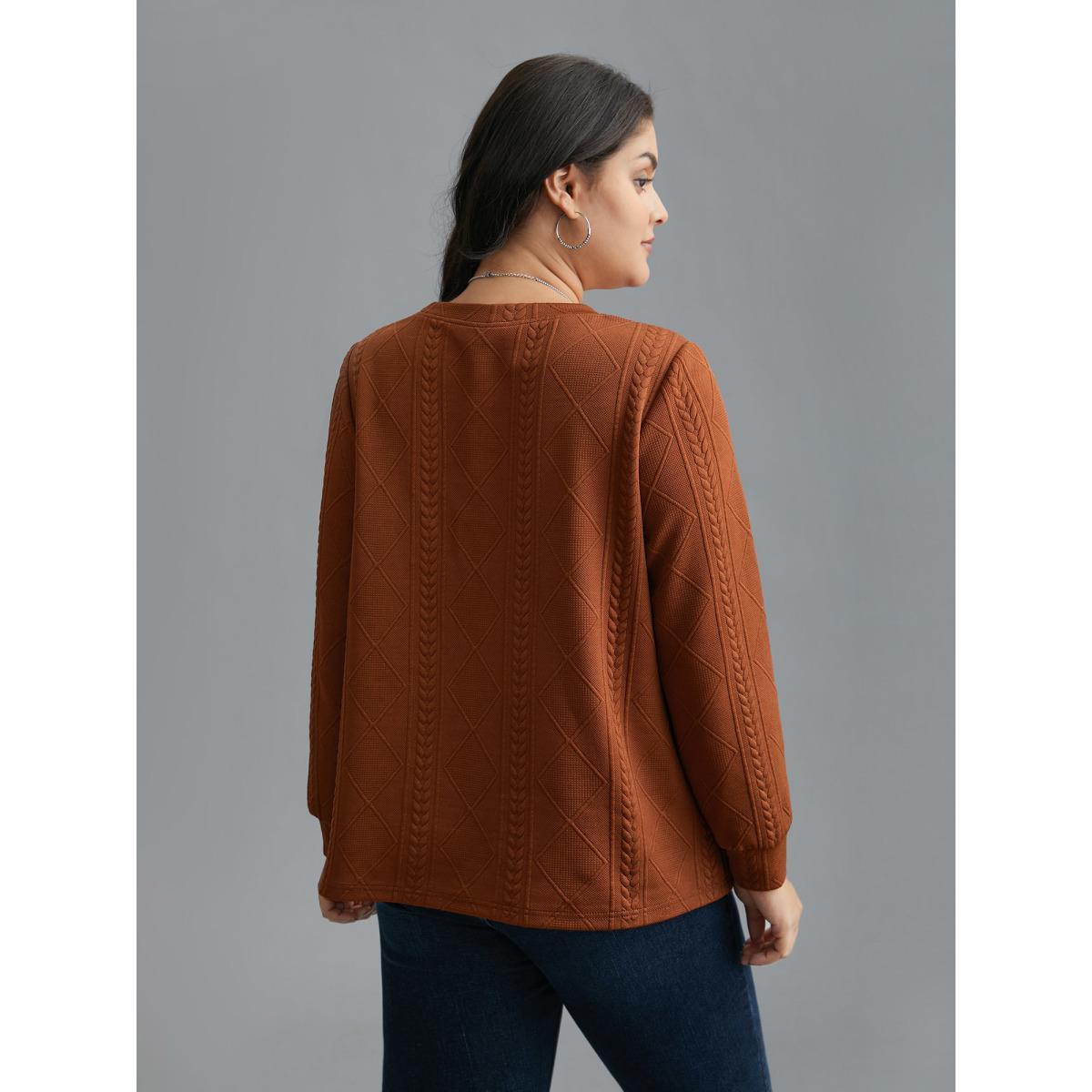 Plus Size Textured Round Neck Stretchy Sweatshirt Women Rust Casual Texture Round Neck Everyday Sweatshirts BloomChic 28/5X Product Image