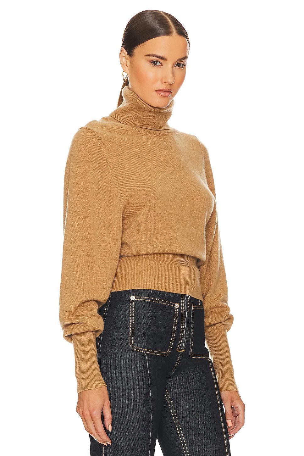 Aren Cashmere Turtleneck Sweater Helsa Product Image