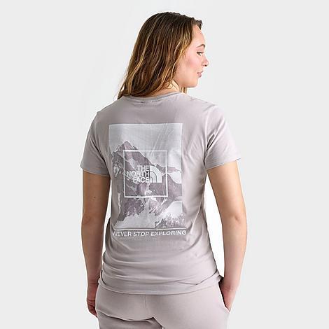 Womens The North Face Inc Outline Mountain T-Shirt Product Image