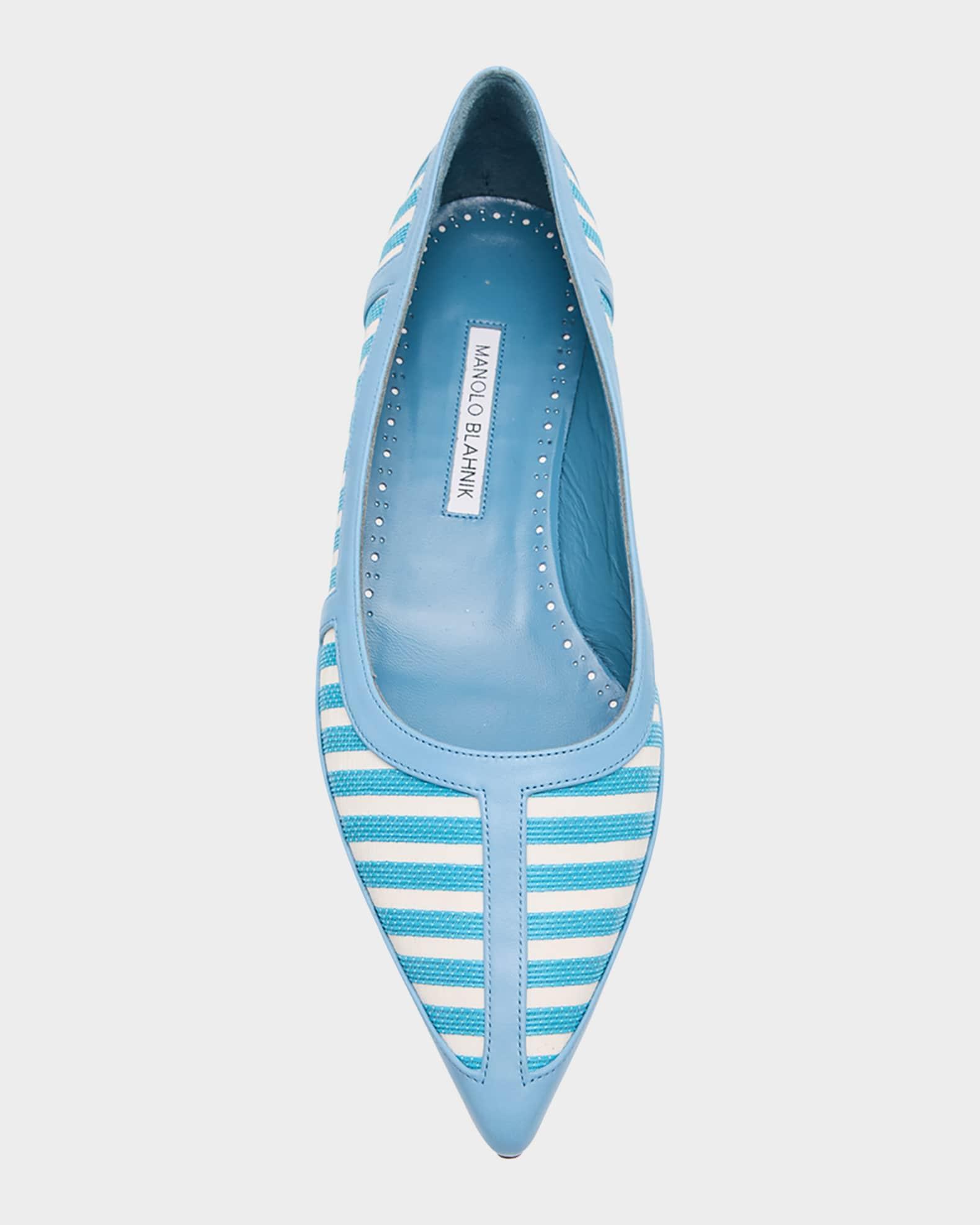 Bicolor Stripe Ballerina Flats Product Image