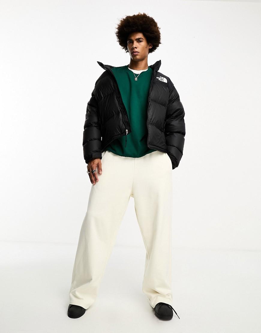 The North Face 1996 Retro Nuptse down jacket Product Image
