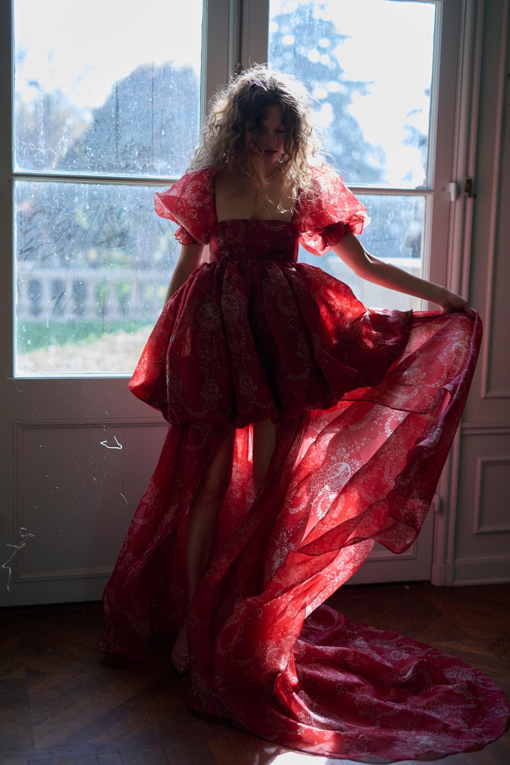 The Ornament Fairytale Gown Product Image