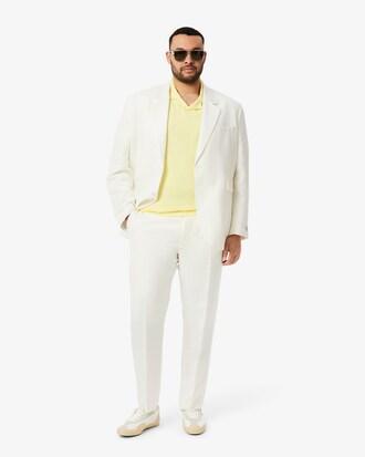Regular Fit Linen Suit Pants Product Image