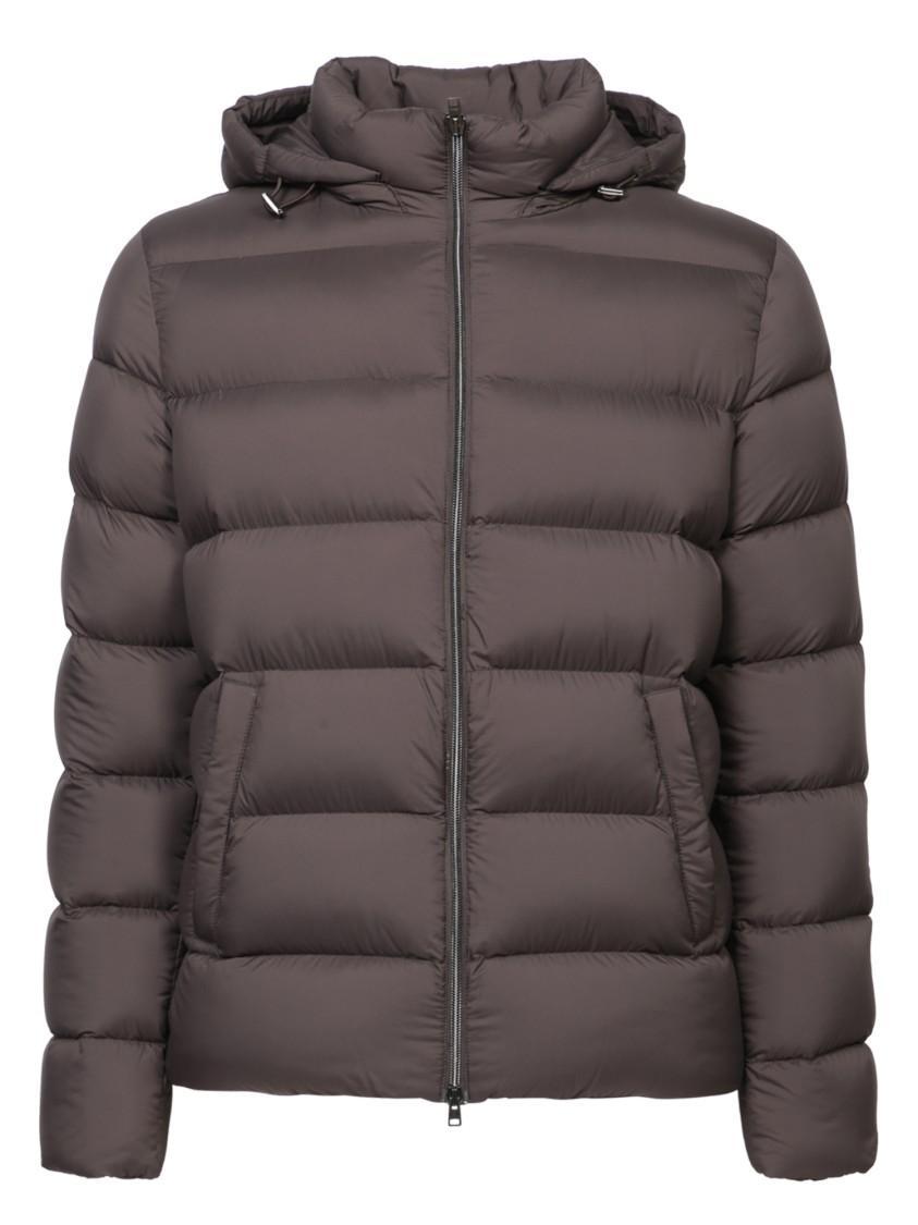 HERNO Brown Down Jackets Product Image