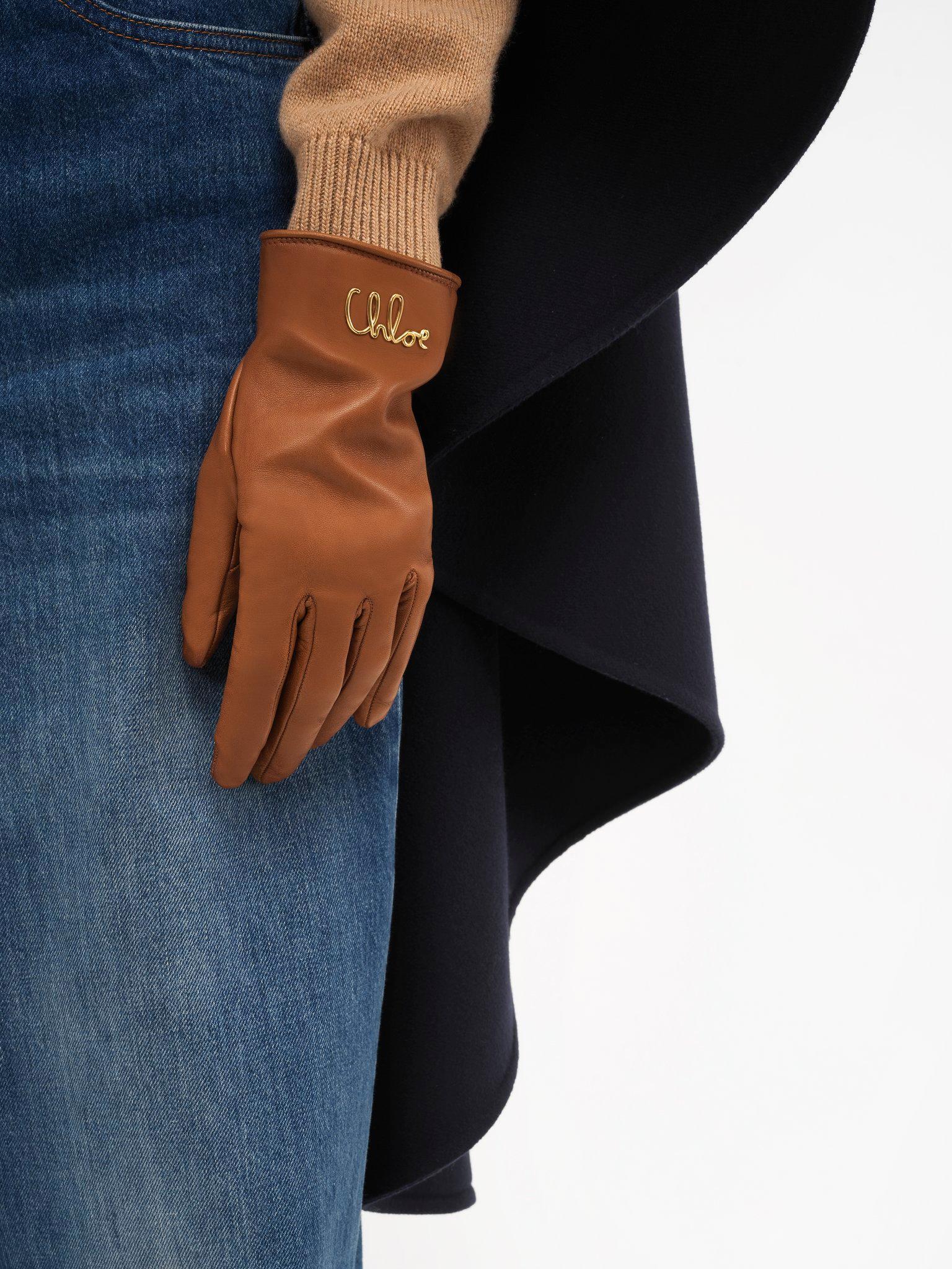 The Chloé Iconic gloves in leather Product Image