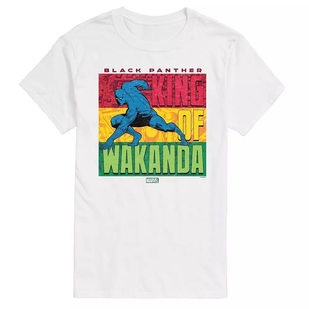 Big & Tall Marvel Black Panther King Of Wakanda Graphic Tee, Men's,  Product Image
