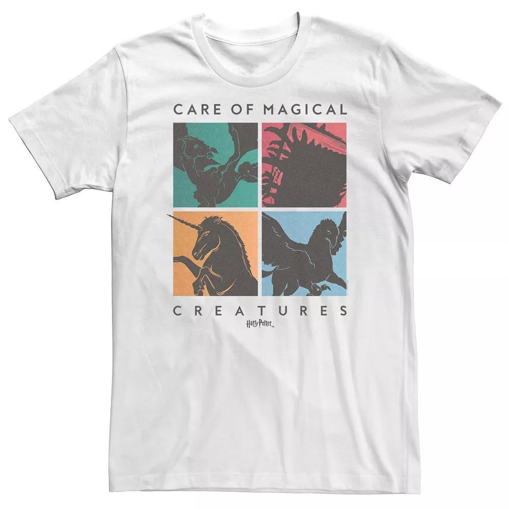 Big & Tall Harry Potter Deathly Hallows 2 Care Of Magical Creatures Panel Tee, Men's,  Product Image