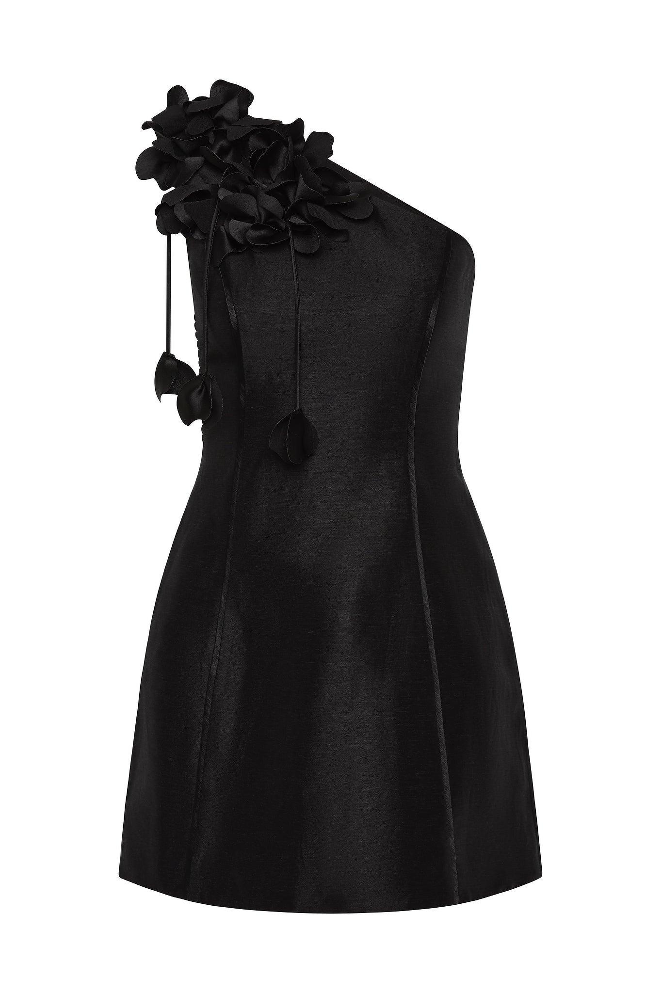 Camille Mini Dress Product Image