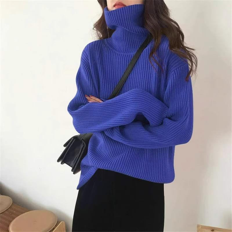 Turtleneck Plain Sweater Product Image