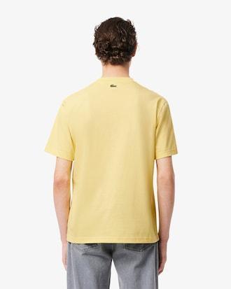 Men's Cotton T-Shirt Product Image