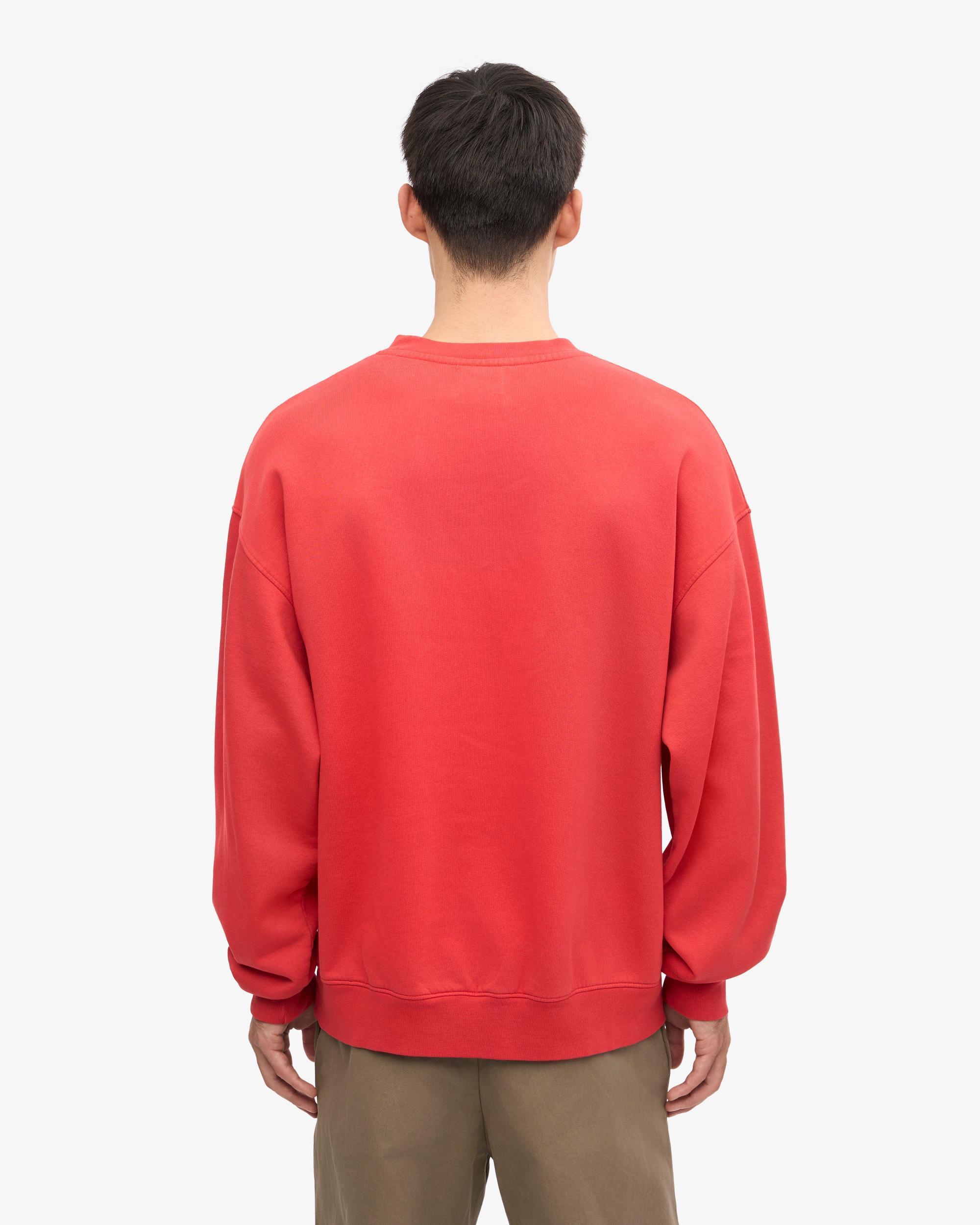Organic Oversized Crew - Cedar Brown Product Image
