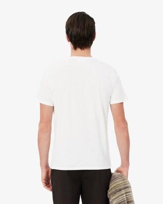 Men's Lightweight Pima Cotton V-Neck T-Shirt Product Image