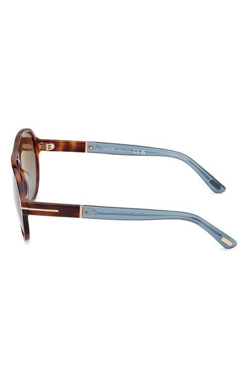 TOM FORD Quincy 59mm Pilot Sunglasses In Shiny Havana/brown To Blue Product Image