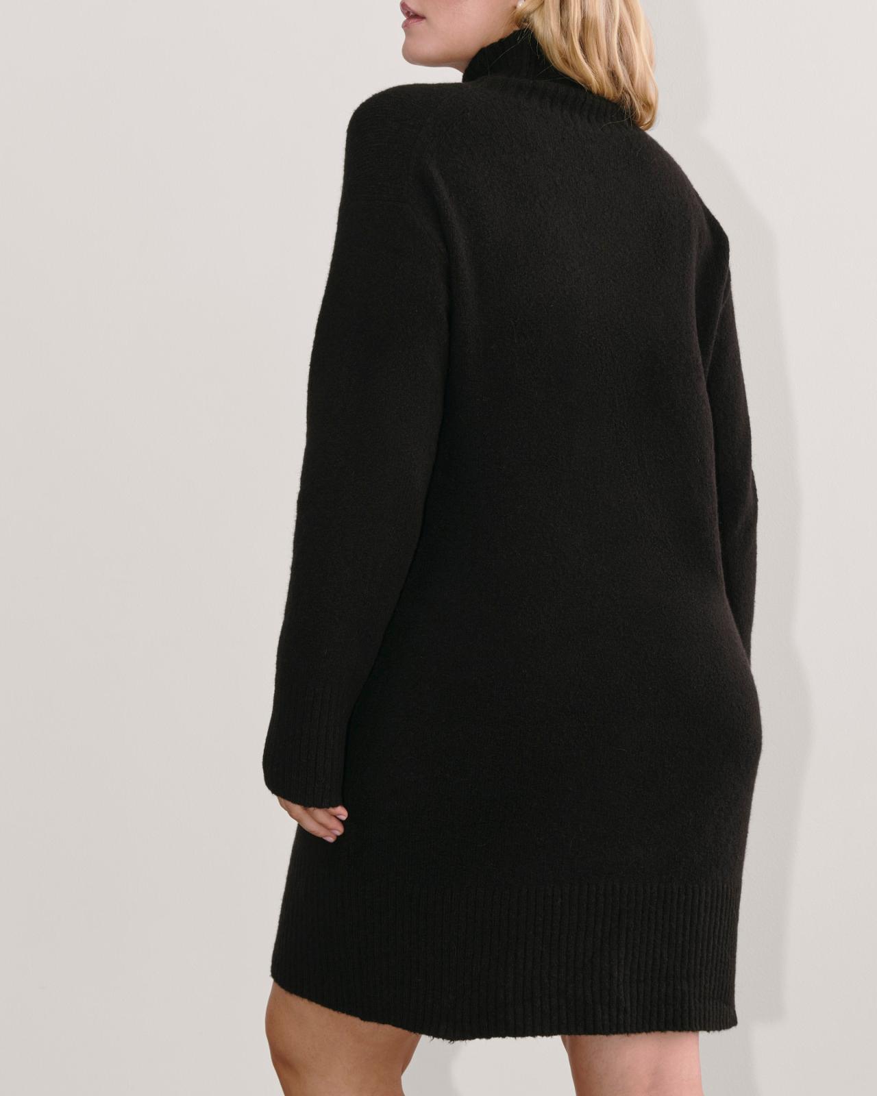 Womens Sweater Dress in Plush Cotton by Everlane Product Image