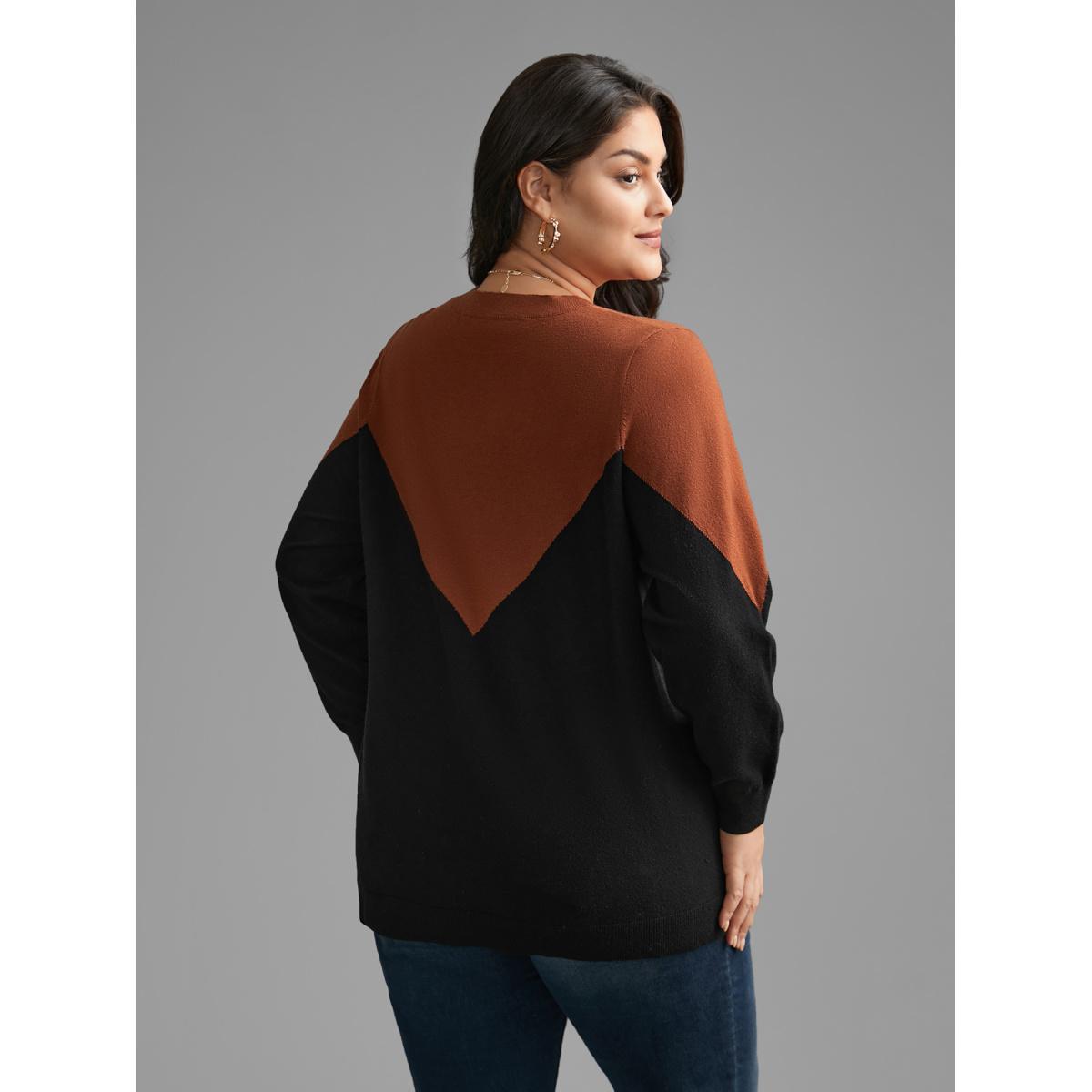 Plus Size Round Neck Contrast Patchwork Pullover Black Women Casual Loose Long Sleeve Round Neck Everyday Pullovers BloomChic 12/L Product Image