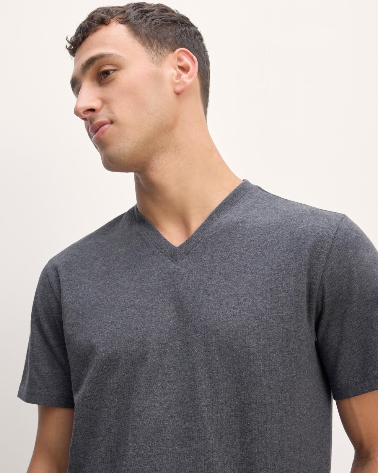 Mens Essential Organic V-Neck T-Shirt by Everlane Product Image