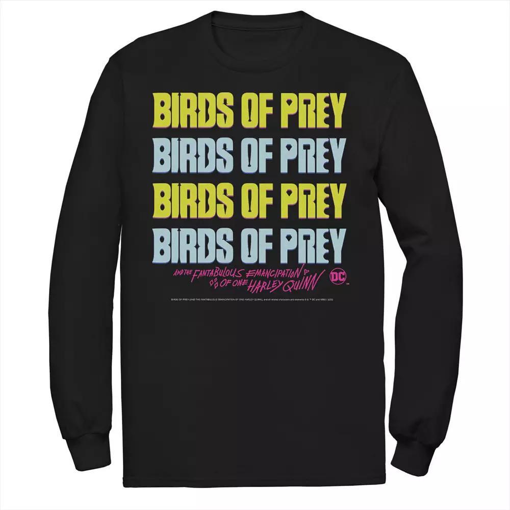Men's DC Comics Birds Of Prey Word Stack Logo Tee,  Product Image
