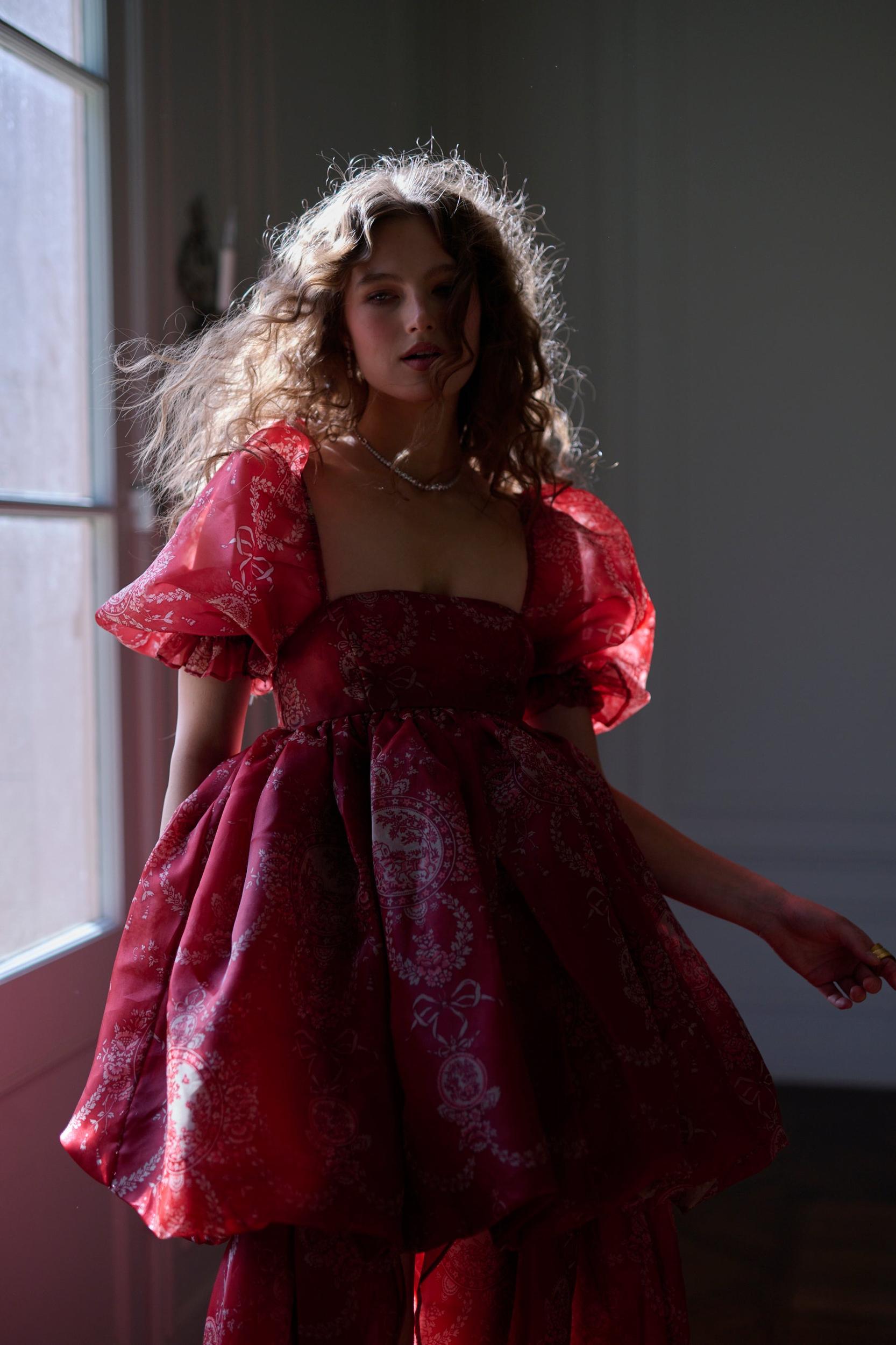 The Ornament Fairytale Gown Product Image