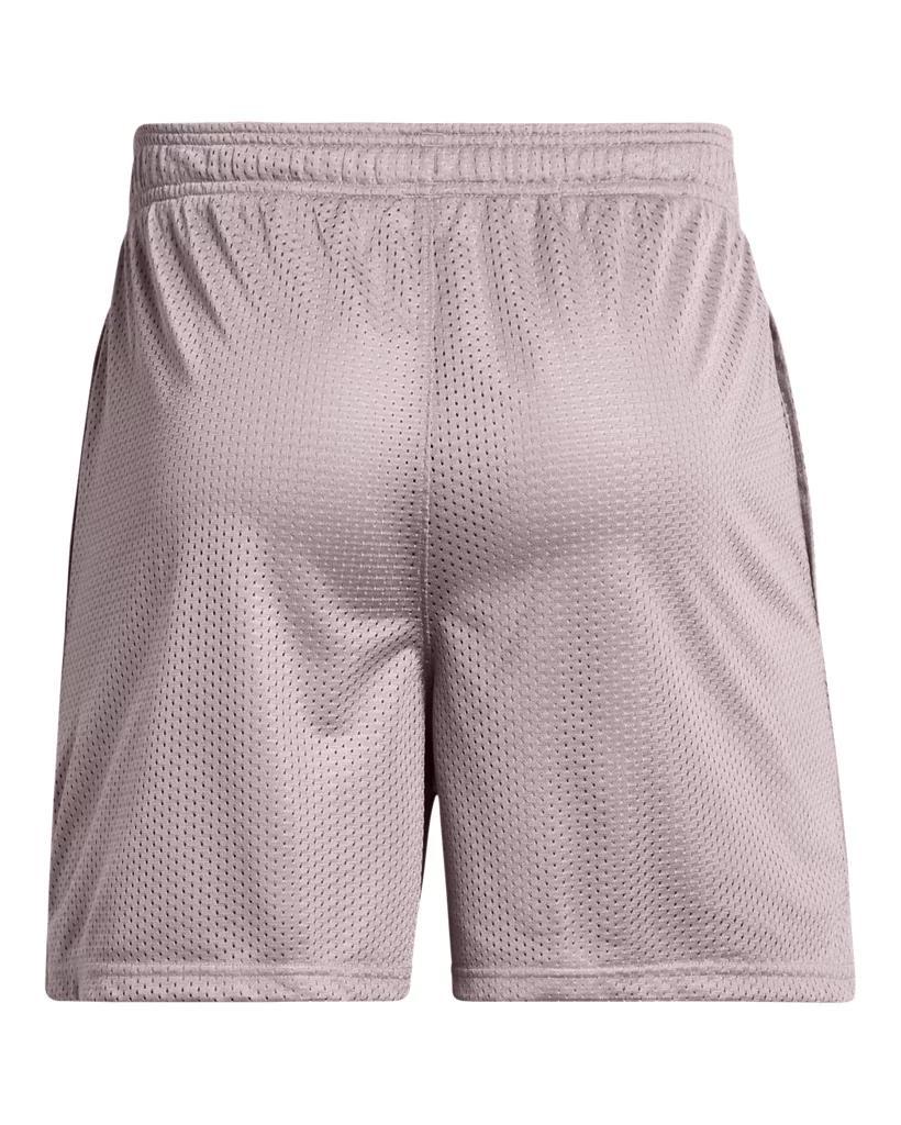 Men's UA Icon Mesh Shorts Product Image