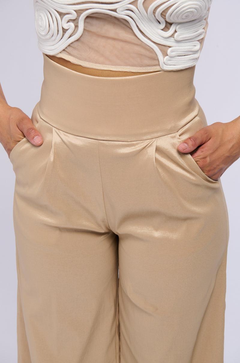 BIG BOOTY HIGH WAIST WIDE LEG TROUSER IN TAUPE Product Image