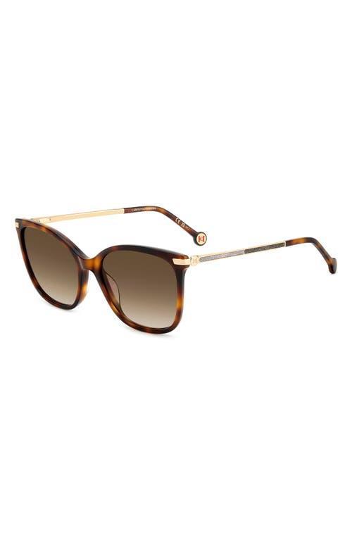 CAROLINA HERRERA 55mm Gradient Rectangular Sunglasses In Havana/brown Sf Product Image