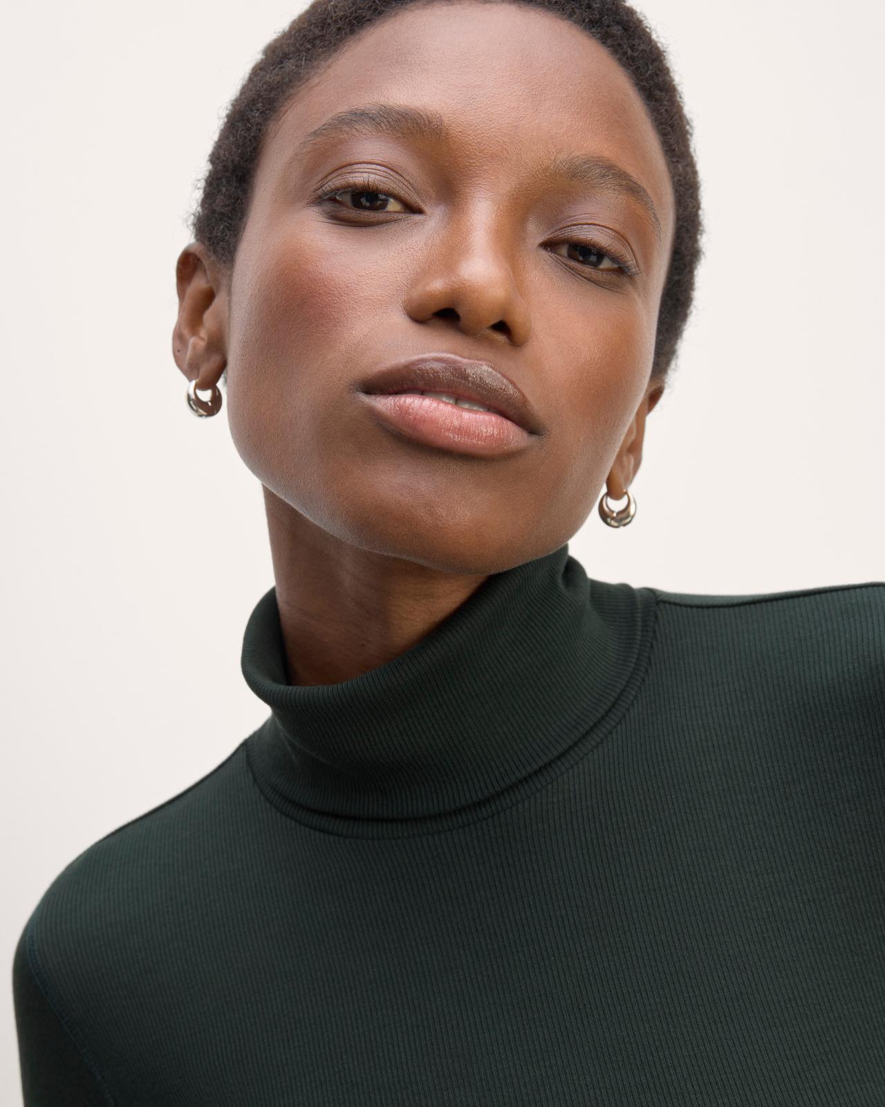 Womens Luxe Rib Turtleneck Sweater by Everlane Product Image