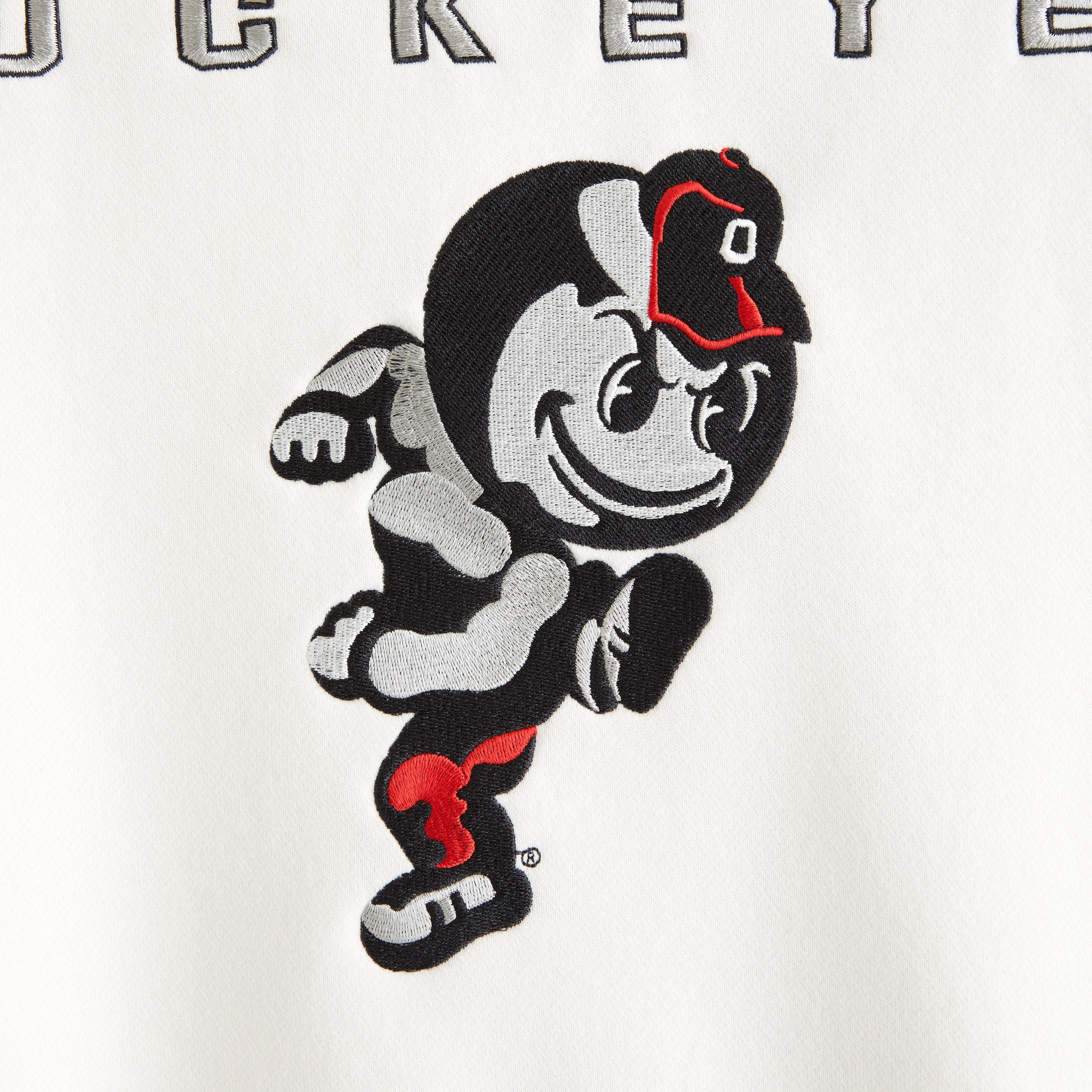 The Ohio State University Graphic Popover Hoodie Product Image