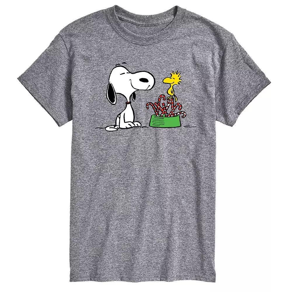 Big & Tall Peanuts Snoopy & Woodstock Candy Canes Graphic Tee, Men's, Size: 3XL Tall, Grey Gray Product Image